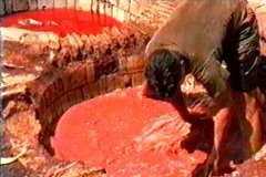 FOTOS (250) � IMAGEN FOTOGRAFIA